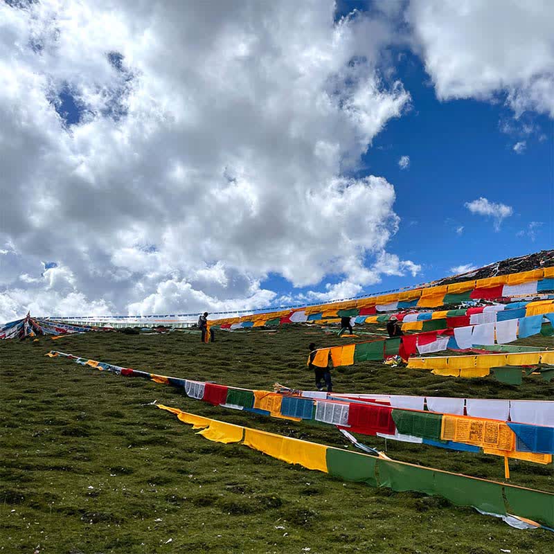 Five-color Windhorse prayer flags — view 4
