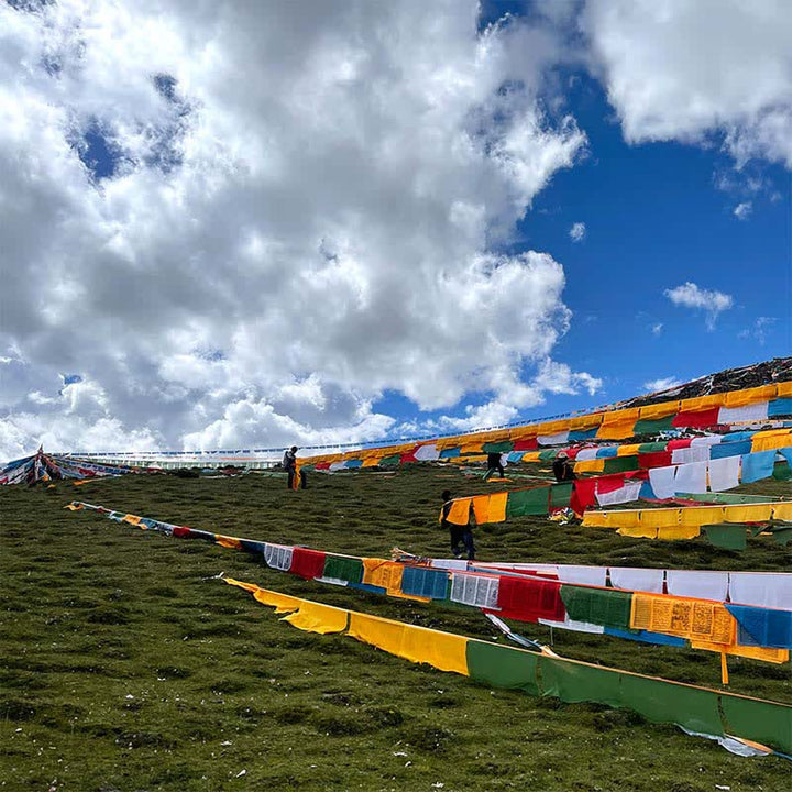 Five-color Windhorse prayer flags — view 4