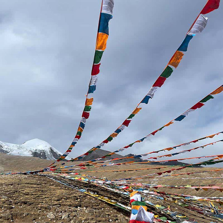 Five-color Windhorse prayer flags — view 5