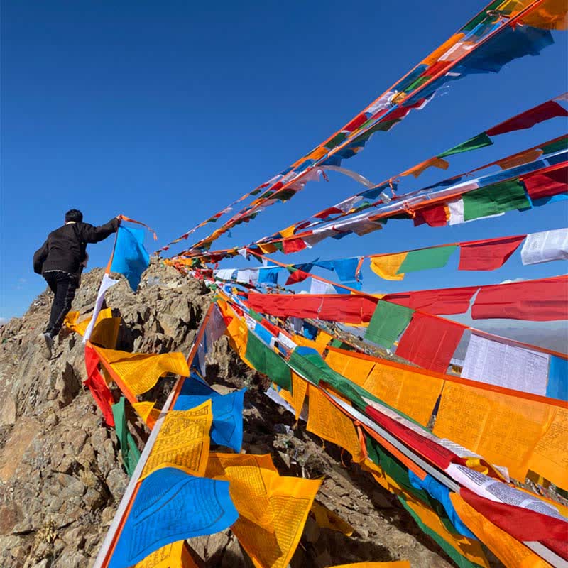 Five-color Windhorse prayer flags — view 26